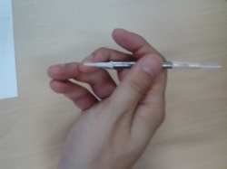 20090925125815.JPG